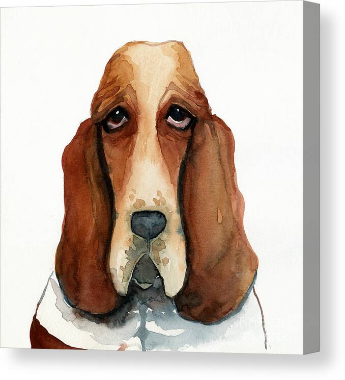 Basset Hound Canvas Print featuring the painting Basset Hound by Leanne Wilkes