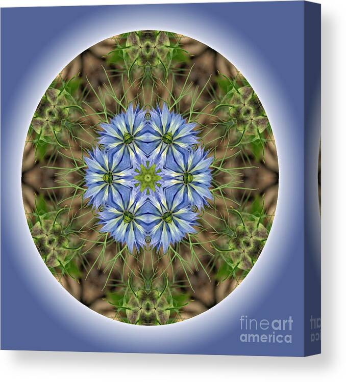 Mandala Canvas Print featuring the digital art Be by Kathy Strauss