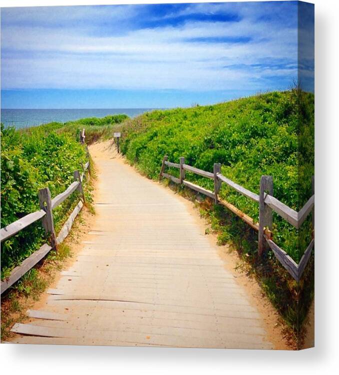 Cape Cod Canvas Print featuring the photograph Cape Cod Paradise by Kate Arsenault 