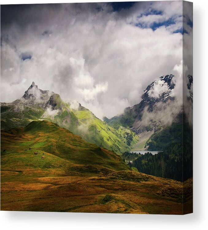 Landscape Canvas Print featuring the photograph Beaute Sauvage by Philippe Sainte-Laudy