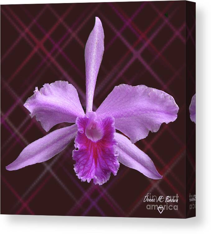 Flower Canvas Print featuring the photograph Beautiful Floating Orchid by Donna Brown