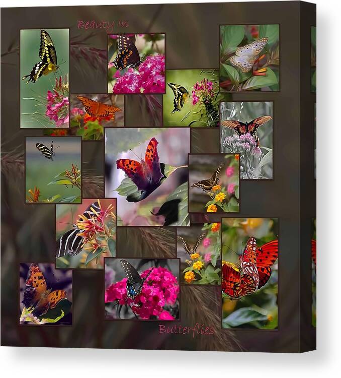 Butterfly Canvas Print featuring the photograph Beauty in Butterflies by DigiArt Diaries by Vicky B Fuller