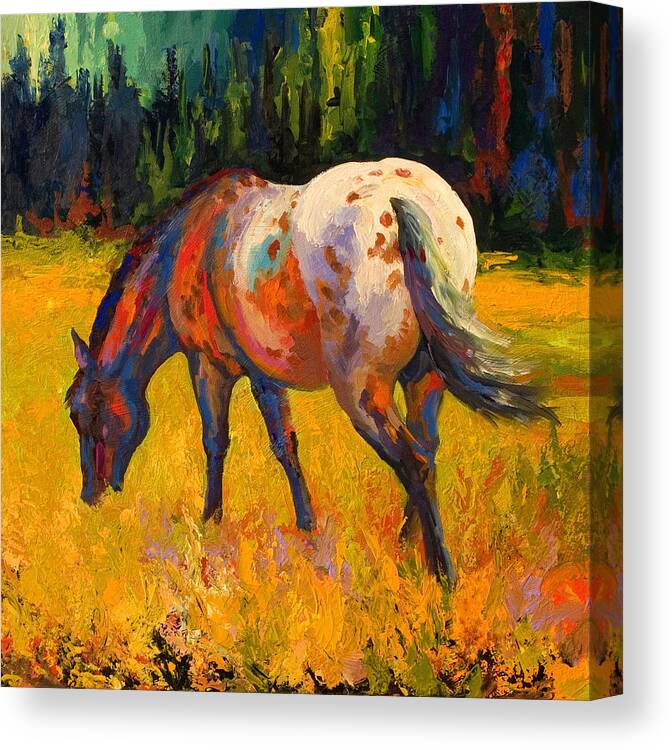 Horses Canvas Print featuring the painting Best End Of An Appy by Marion Rose