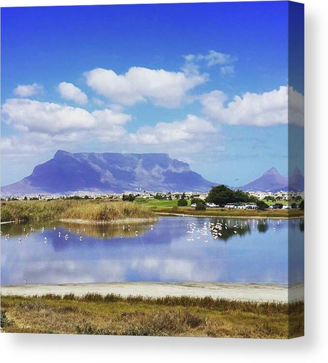 Tablemountain Canvas Print featuring the photograph Bike Rides With The Family.... Great by Sharon Atkins