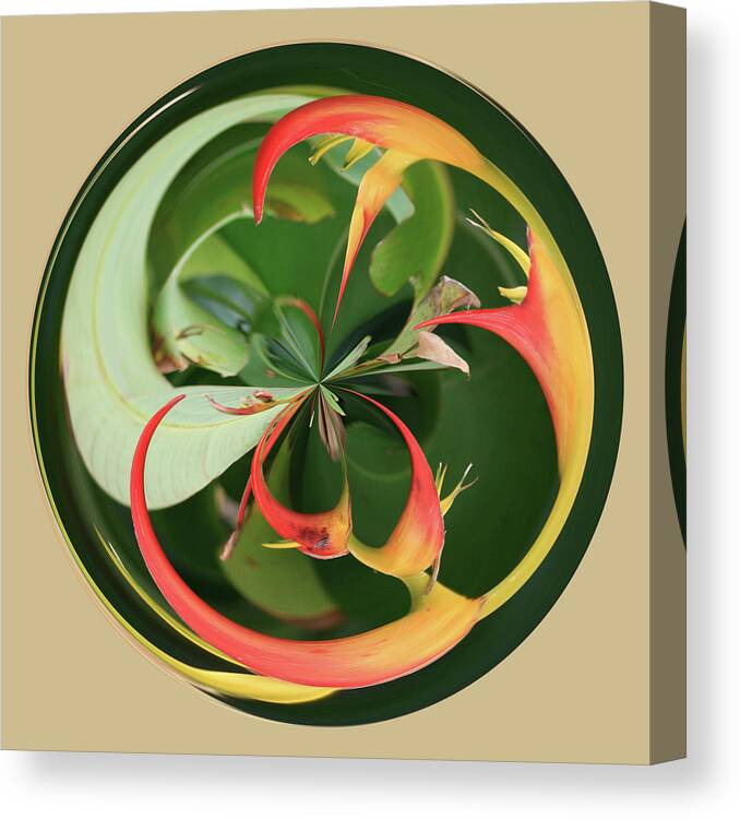 Orb Canvas Print featuring the photograph Bird of Paradise Orb by Bill Barber