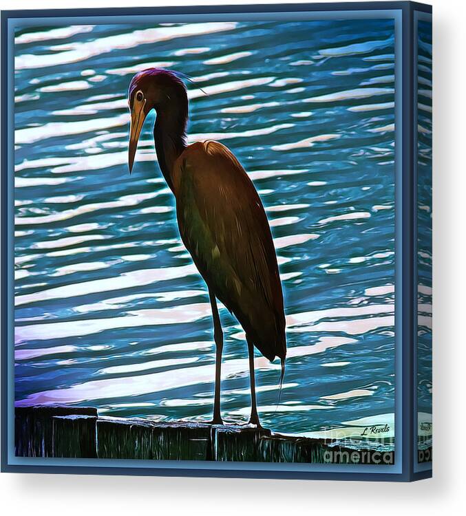 Bird Canvas Print featuring the photograph Bird on Blue by Leslie Revels