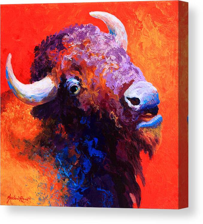 Bison Canvas Print featuring the painting Bison Attitude by Marion Rose