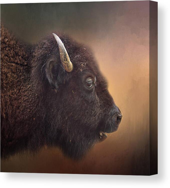 American Buffalo Canvas Print featuring the photograph Bison by David and Carol Kelly