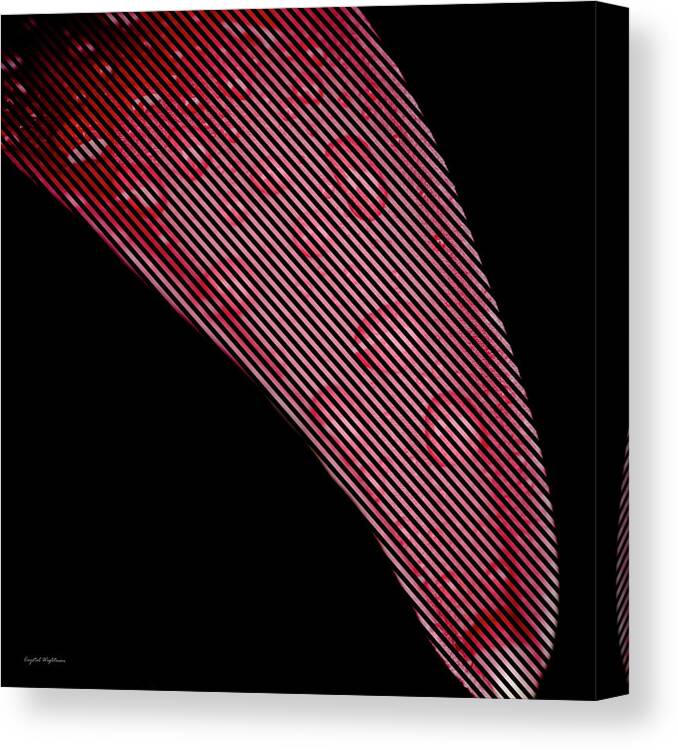 Illusion Canvas Print featuring the photograph Black Lines on Red Flower by Crystal Wightman