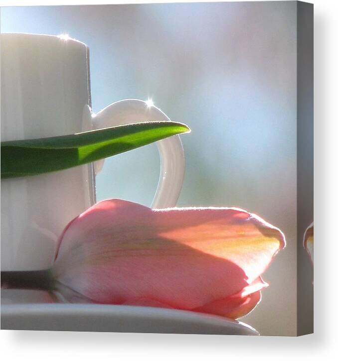 Cup Canvas Print featuring the photograph Bliss by Angela Davies