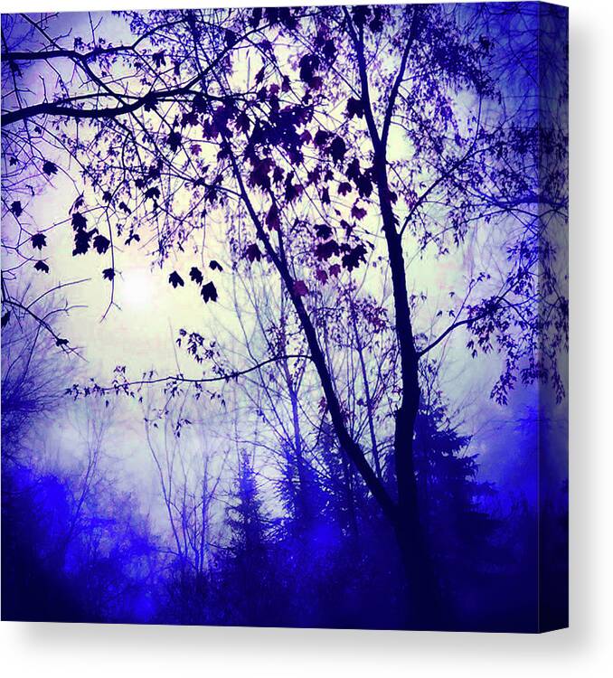 Fleece Blankets Canvas Print featuring the photograph Blue dawn by Gina Signore