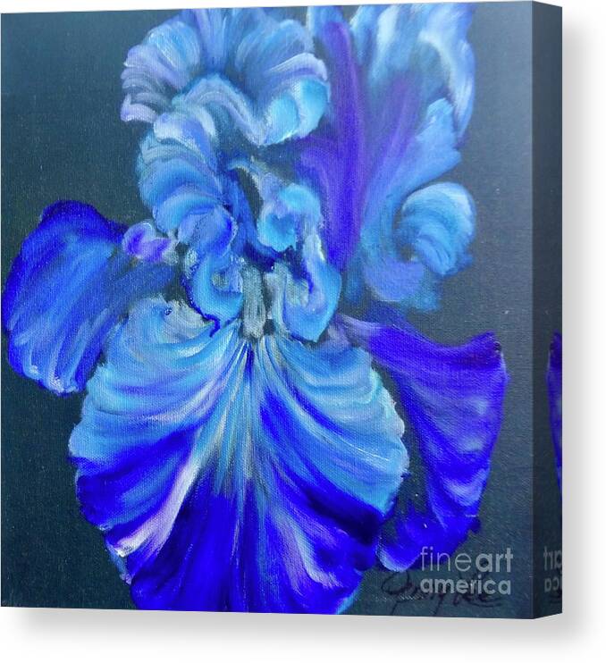 Floral Canvas Print featuring the painting Blue/Lavender Iris by Jenny Lee