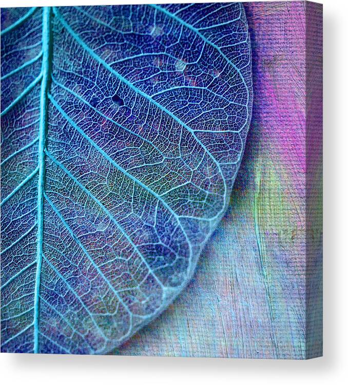 Painted Photo Canvas Print featuring the painting Blue Skeletal Leaf by Bonnie Bruno