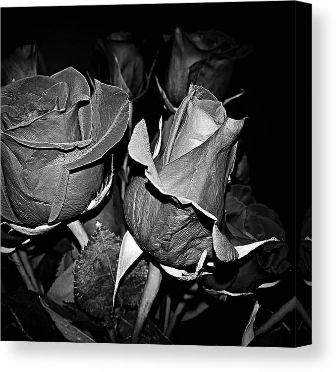 Rose Canvas Print featuring the photograph Boquet Of Roses by Ester McGuire