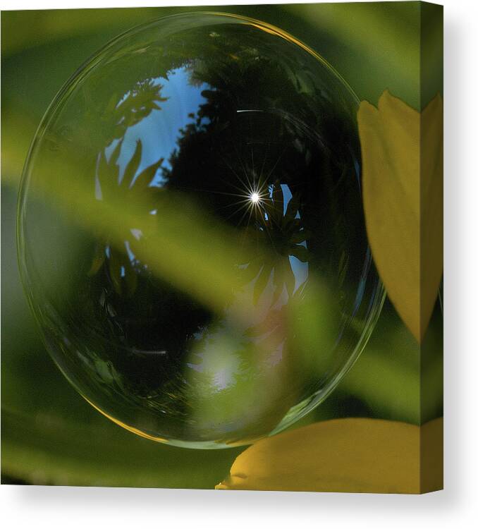 Garden Canvas Print featuring the photograph Bubble in the Garden by Bob Cournoyer