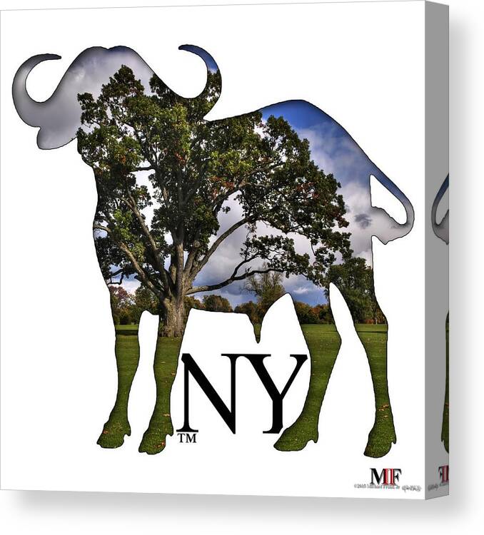 Michael Frank Jr; Nikon; Hdr; Iphone Case; Iphone; Galaxy; Galaxy Case; Phone Case; Buffalo; Buffalo Ny; Buffalo Canvas Print featuring the photograph Buffalo NY Delaware Park by Michael Frank Jr