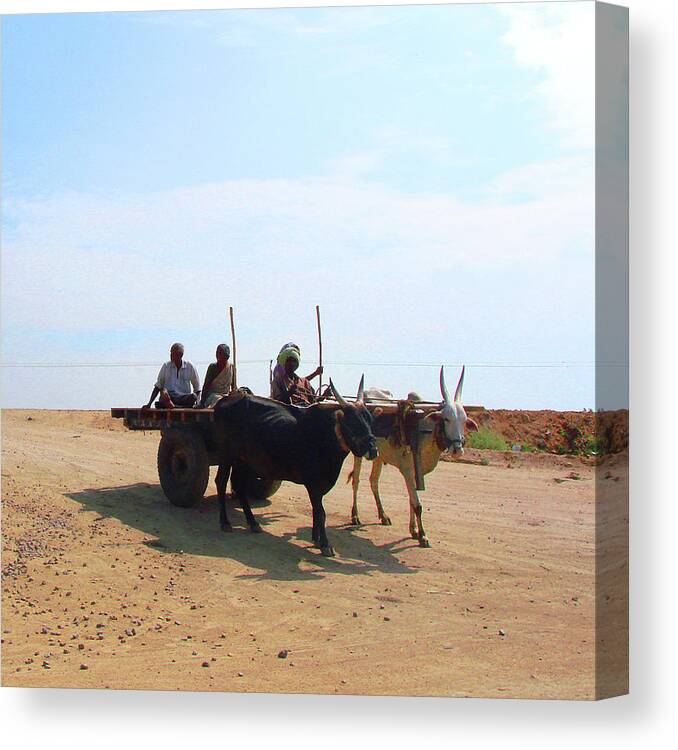 India Canvas Print featuring the photograph Bullock Cart near Dhone, Andhra Pradesh, India by Iqbal Misentropy