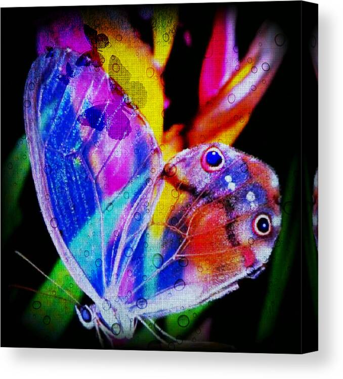 Butterflies Canvas Print featuring the digital art Butterflies Are Free by Digital Art Cafe