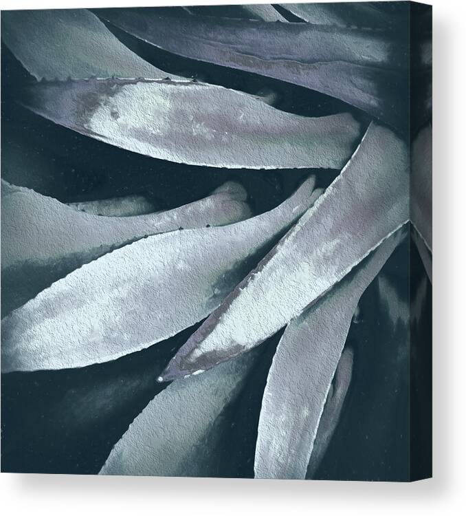 Cactus Canvas Print featuring the photograph Cactus in Blue and Grey 2 by Julie Palencia