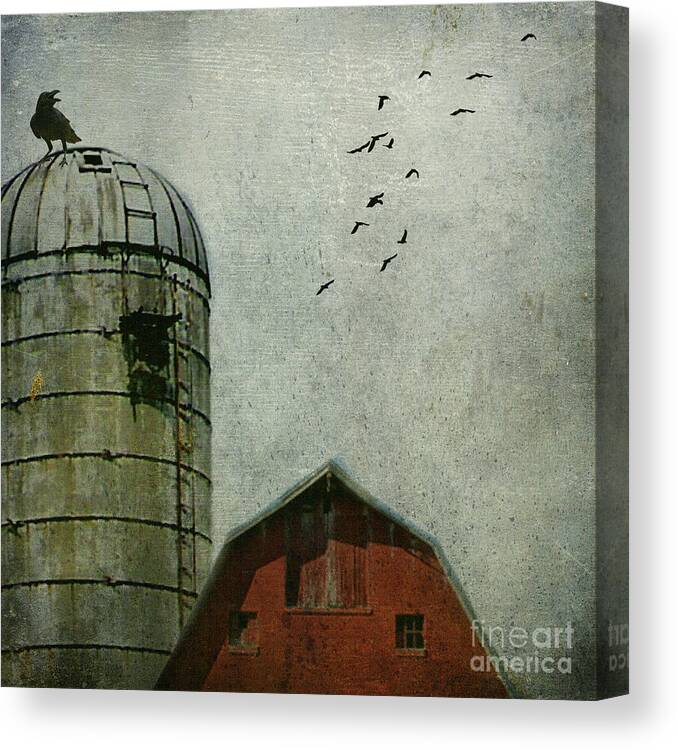 Country Canvas Print featuring the photograph Call of the crow by AJ Yoder