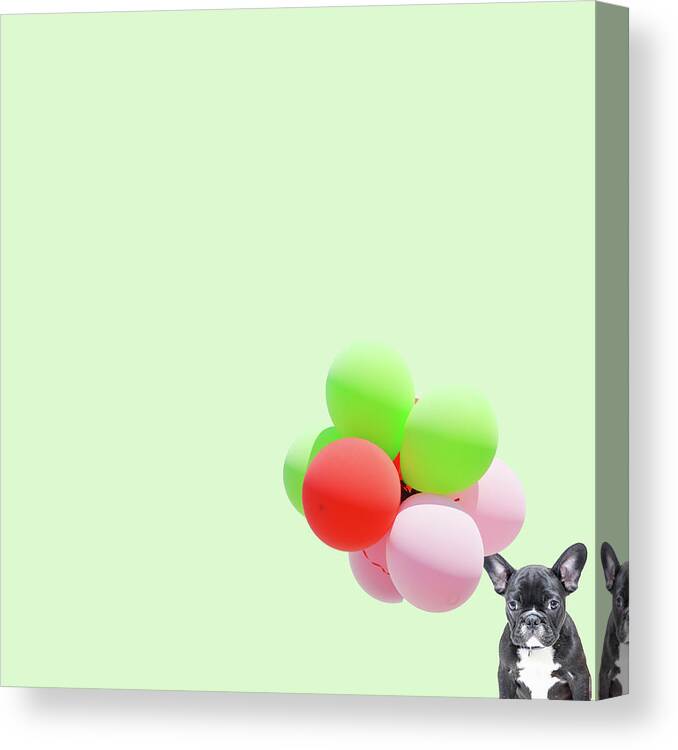 Minimal Canvas Print featuring the photograph Candy dog by Caterina Theoharidou