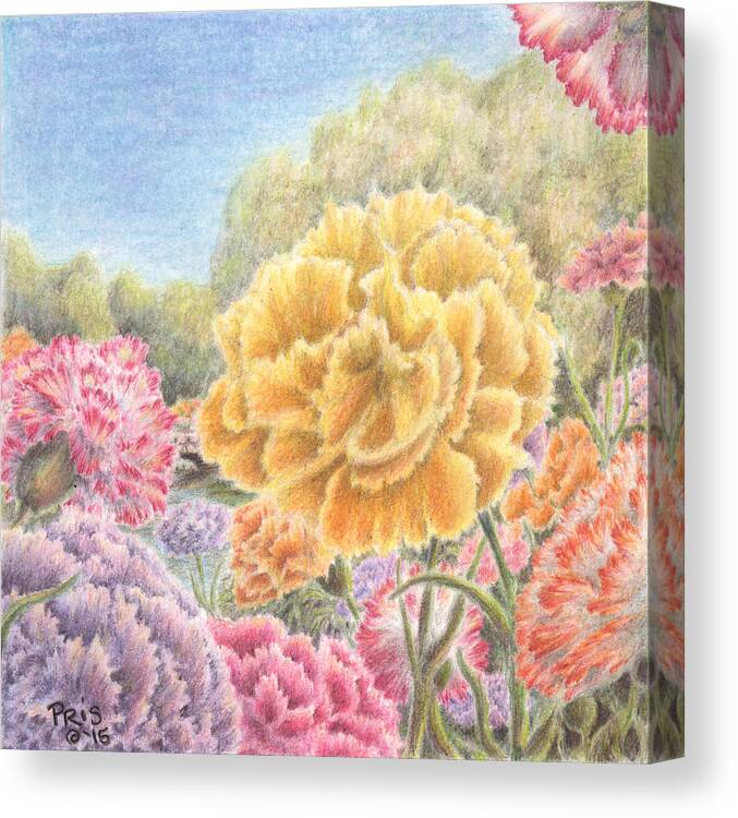 Carnation Canvas Print featuring the drawing Carnations Galore by Pris Hardy