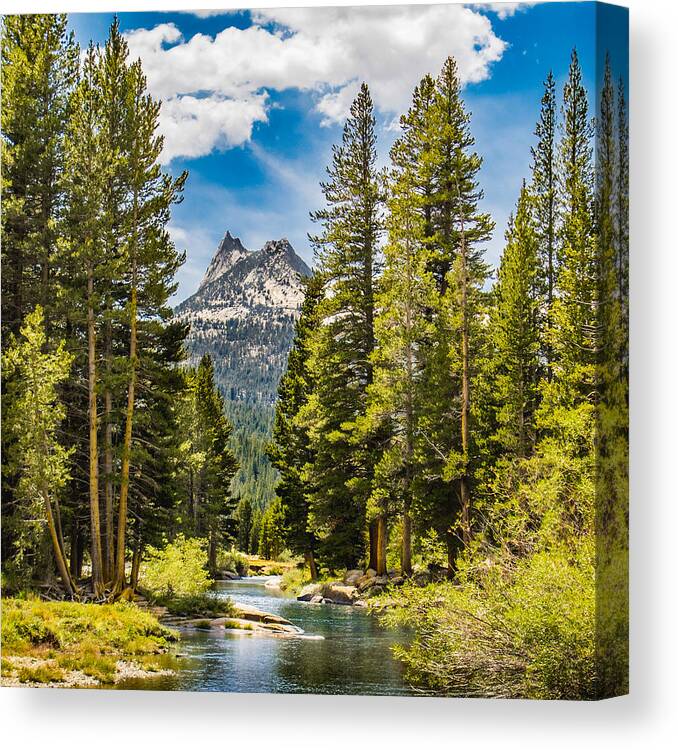 Landscape Canvas Print featuring the photograph Cathedral Peak by Susan Eileen Evans