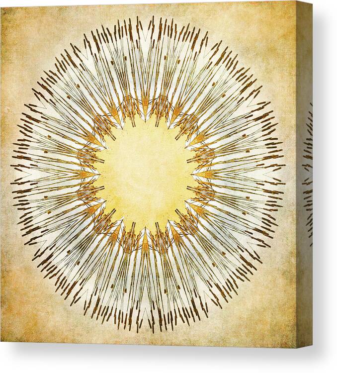 Cattail Abstract Canvas Print featuring the photograph Cattail Mandala - by Julie Weber