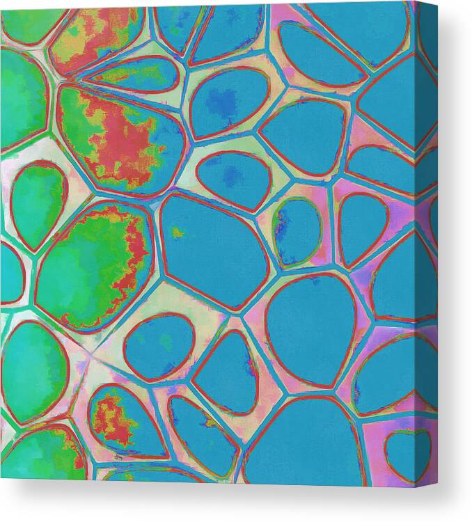 Painting Canvas Print featuring the photograph Cells Abstract Three by Edward Fielding
