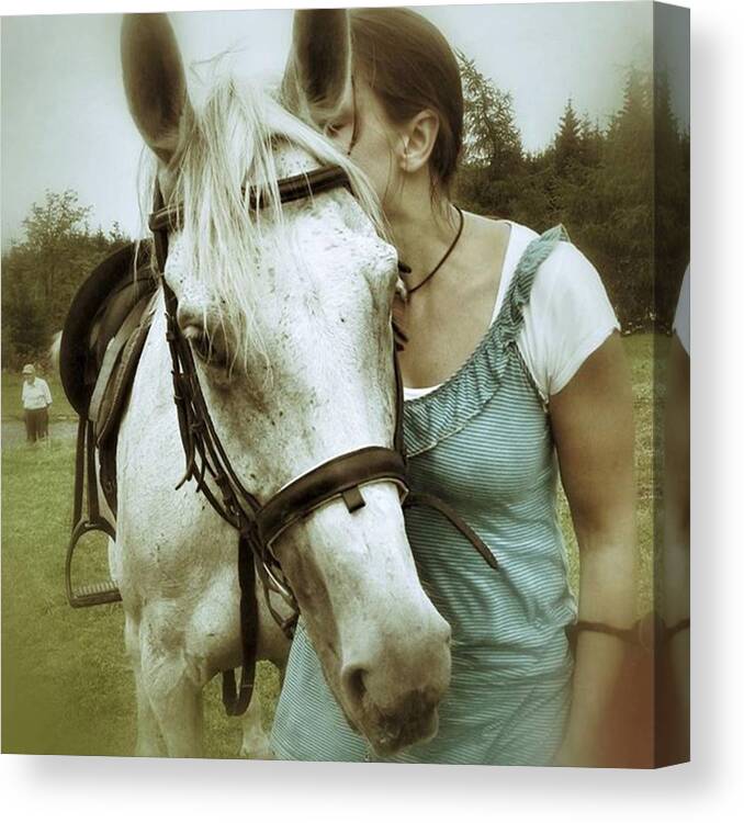 Horses Canvas Print featuring the photograph Cesja #horses #horse #horsesofinstagram by Zielona Kropka