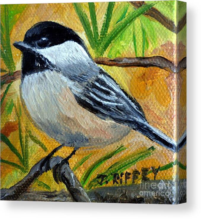 Chickadee Canvas Print featuring the painting Chickadee in the Pines - Birds by Julie Brugh Riffey