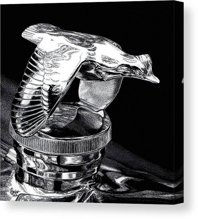 Chrome Canvas Print featuring the drawing Chrome in Flight by Ann Ranlett
