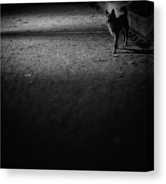 Blackandwhitephotography Canvas Print featuring the photograph Chuvak
#dogsofinstagram #dogs #pets by Rafa Rivas