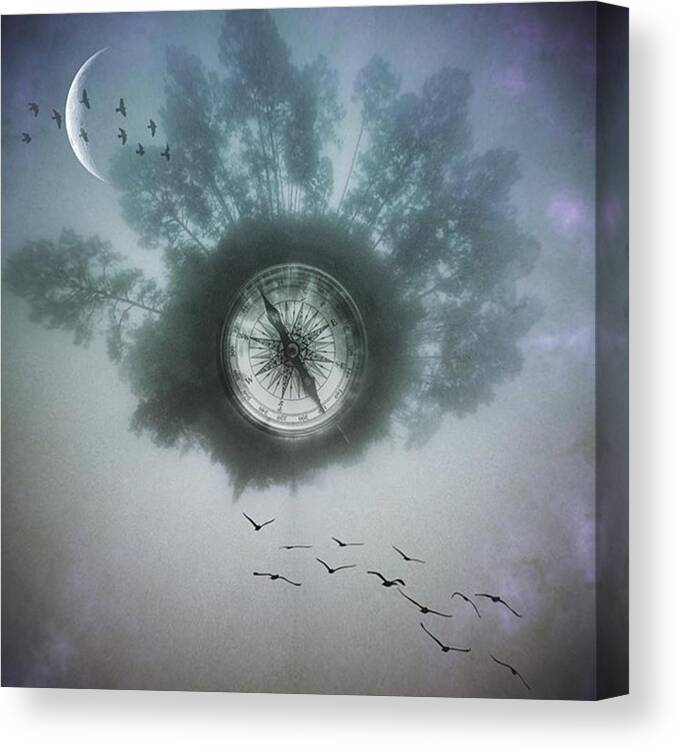 Tinyworld Canvas Print featuring the photograph #circularapp #landscape #tinyworld by Joan McCool