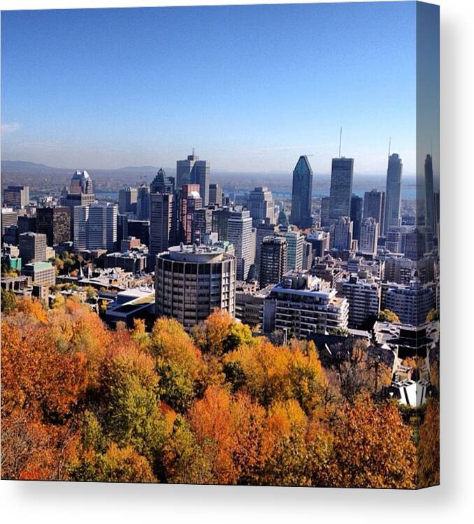 Beautiful Canvas Print featuring the photograph City View - Mont Royal by Alan Magor