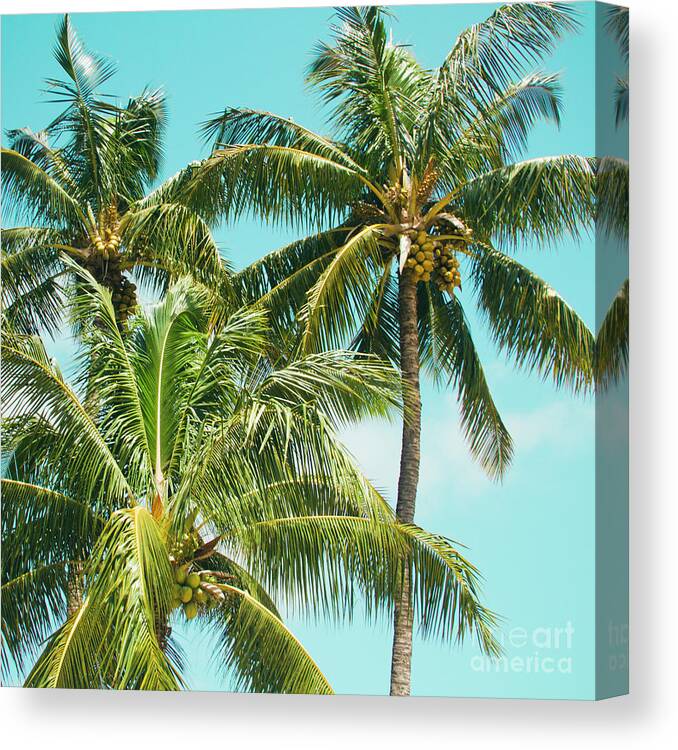 Sugar Beach Canvas Print featuring the photograph Coconut Palm Trees Sugar Beach Kihei Maui Hawaii by Sharon Mau