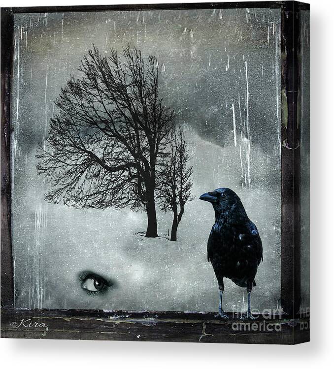 Cold Canvas Print featuring the photograph Cold by Kira Bodensted
