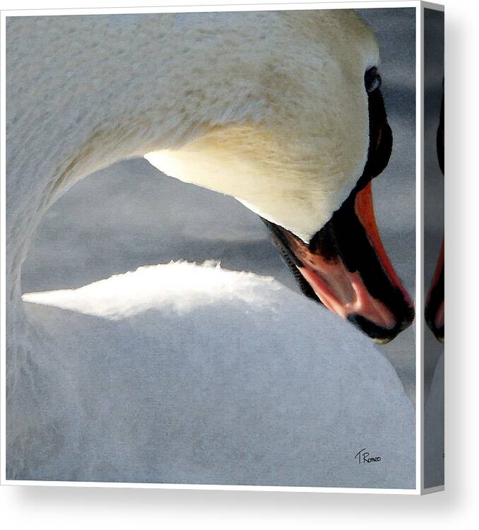 Swan Canvas Print featuring the digital art Cold Shoulder by Tom Romeo