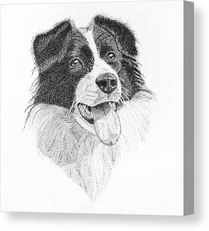 Animal Canvas Print featuring the drawing Collie Dots by Hazy Apple