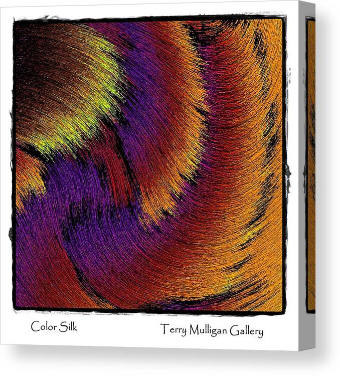 Color Canvas Print featuring the digital art Color Silk by Terry Mulligan