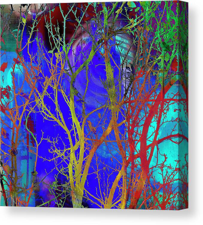Tree Branches Canvas Print featuring the photograph Colored Tree Branches by Susan Stone