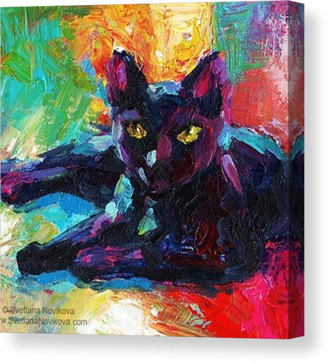 Popart Canvas Print featuring the photograph Colorful Black Cat Painting By Svetlana by Svetlana Novikova