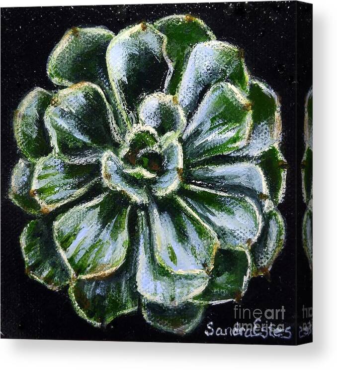 Succulent Canvas Print featuring the painting Colorful Succulent by Sandra Estes