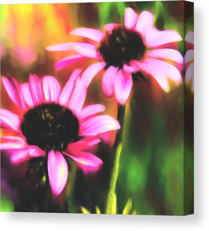 Coneflowers Canvas Print featuring the digital art Coneflowers by Sand And Chi