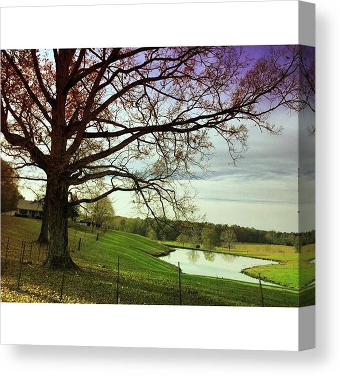 Backroads Canvas Print featuring the photograph Country Scenery 😘 #roadtrip by Joan McCool