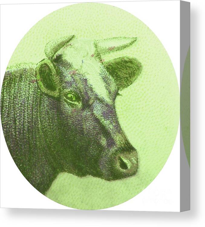 Cow Canvas Print featuring the digital art Cow II by Desiree Warren