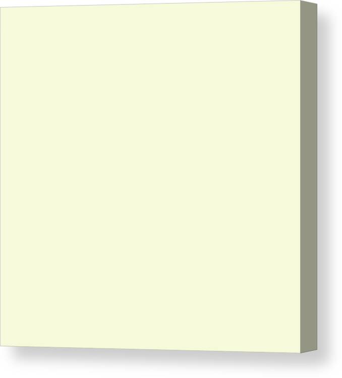 Solid Colors Canvas Print featuring the digital art Cream Solid Color by Garaga Designs