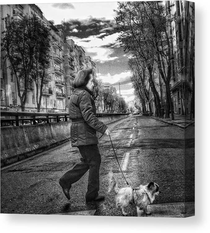 Blackandwhitephoto Canvas Print featuring the photograph Crossers
#animal #dogsofinstagram #dog by Rafa Rivas
