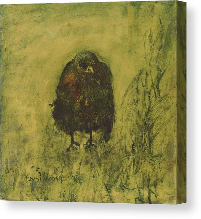 Bird Canvas Print featuring the painting Crow 26 by David Ladmore