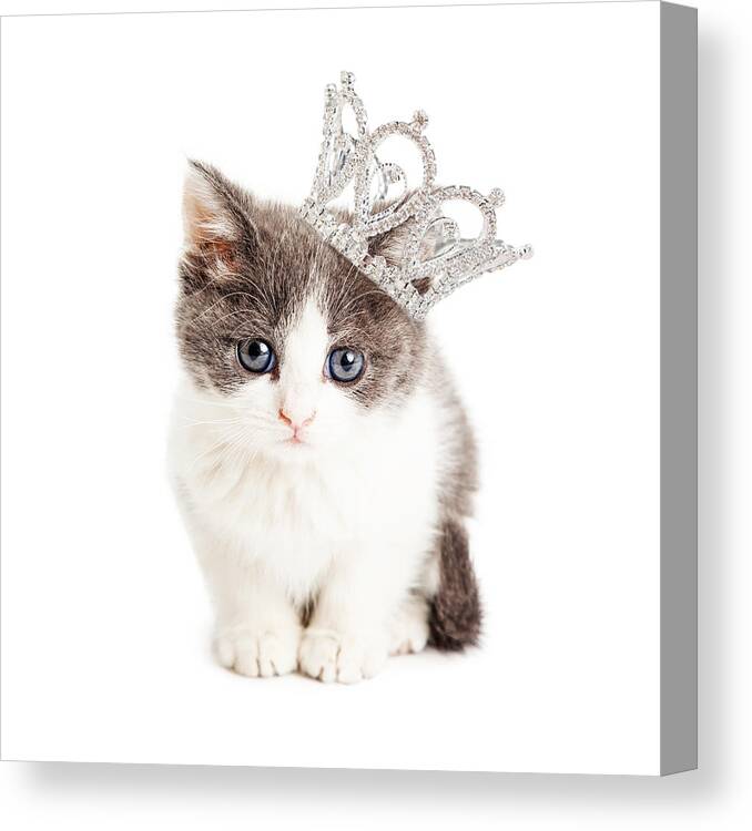 Adorable Canvas Print featuring the photograph Cute Kitten Wearing Princess Crown by Good Focused